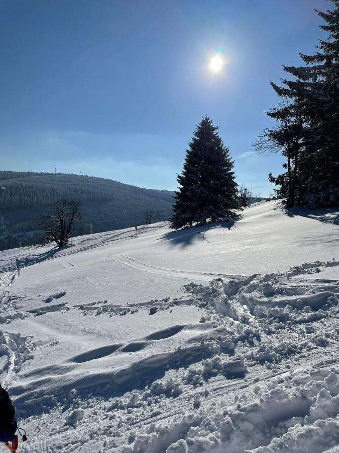 Villa Laas Oberwiesenthal Eksteriør billede